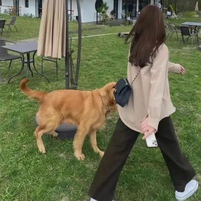 生仔大件事