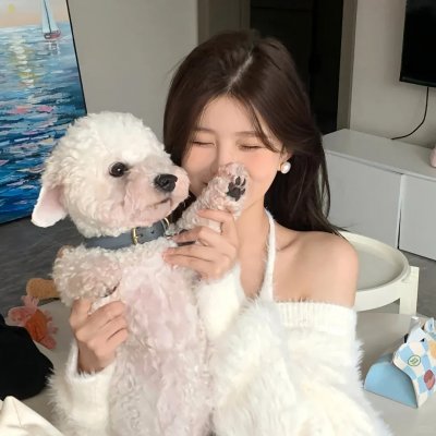 夏绿蒂的网